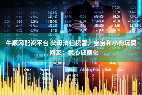 牛顺网配资平台 父母清扫积雪，宝宝和小狗玩耍，网友：我心被萌化
